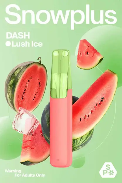 Snowplus DASH 鴨嘴獸4000口拋棄式電子煙｜潮玩造型設計・輕巧便攜體驗・細膩霧化享受