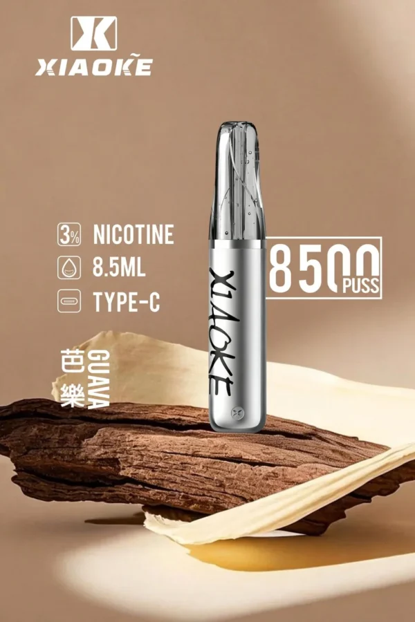 XIAOKE 梟客 8500口拋棄式電子煙｜順暢尼古丁鹽・輕巧大儲油量・Type-C長效續航