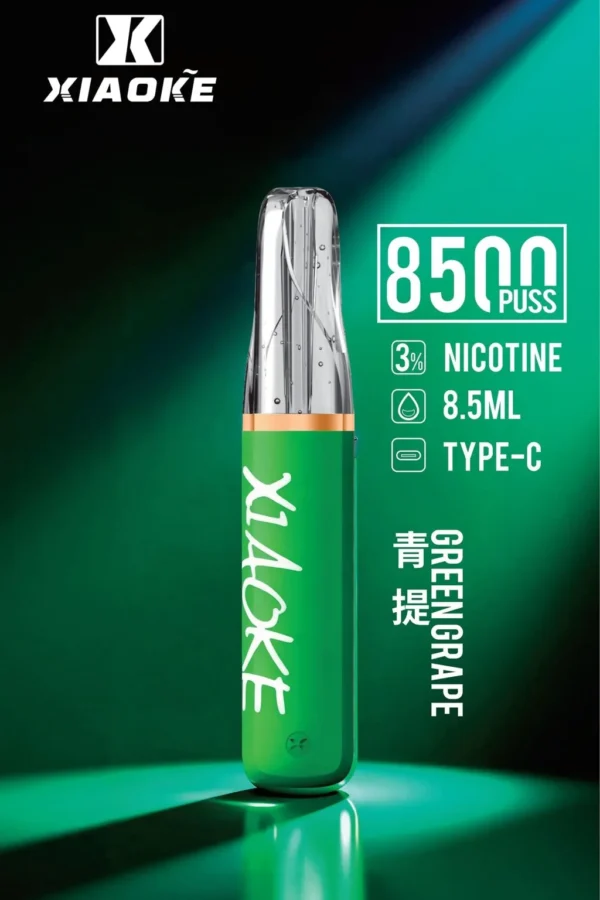 XIAOKE 梟客 8500口拋棄式電子煙｜順暢尼古丁鹽・輕巧大儲油量・Type-C長效續航
