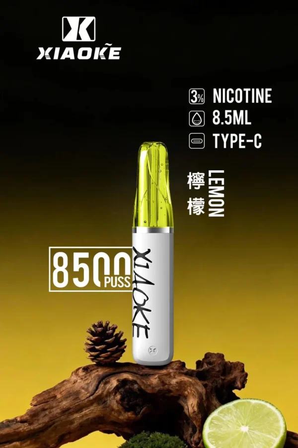 XIAOKE 梟客 8500口拋棄式電子煙｜順暢尼古丁鹽・輕巧大儲油量・Type-C長效續航